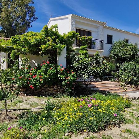 Cortijo Nerja Artist Paradise Екстериор снимка