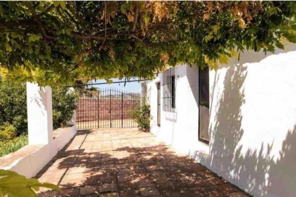 Cortijo Nerja Artist Paradise Екстериор снимка