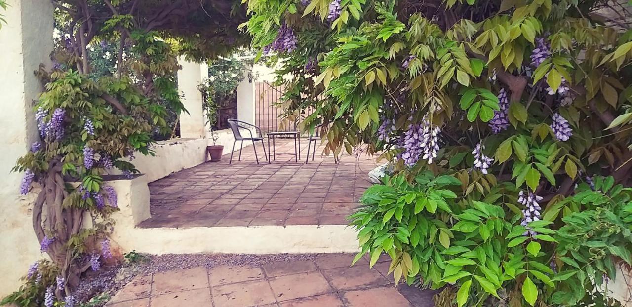 Cortijo Nerja Artist Paradise Екстериор снимка