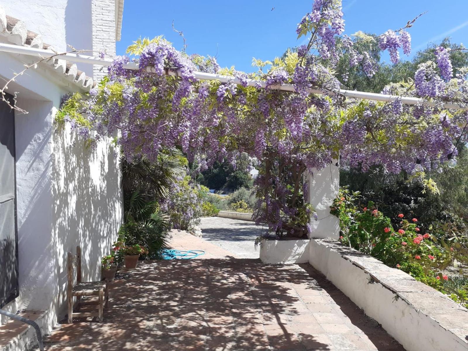 Cortijo Nerja Artist Paradise Екстериор снимка