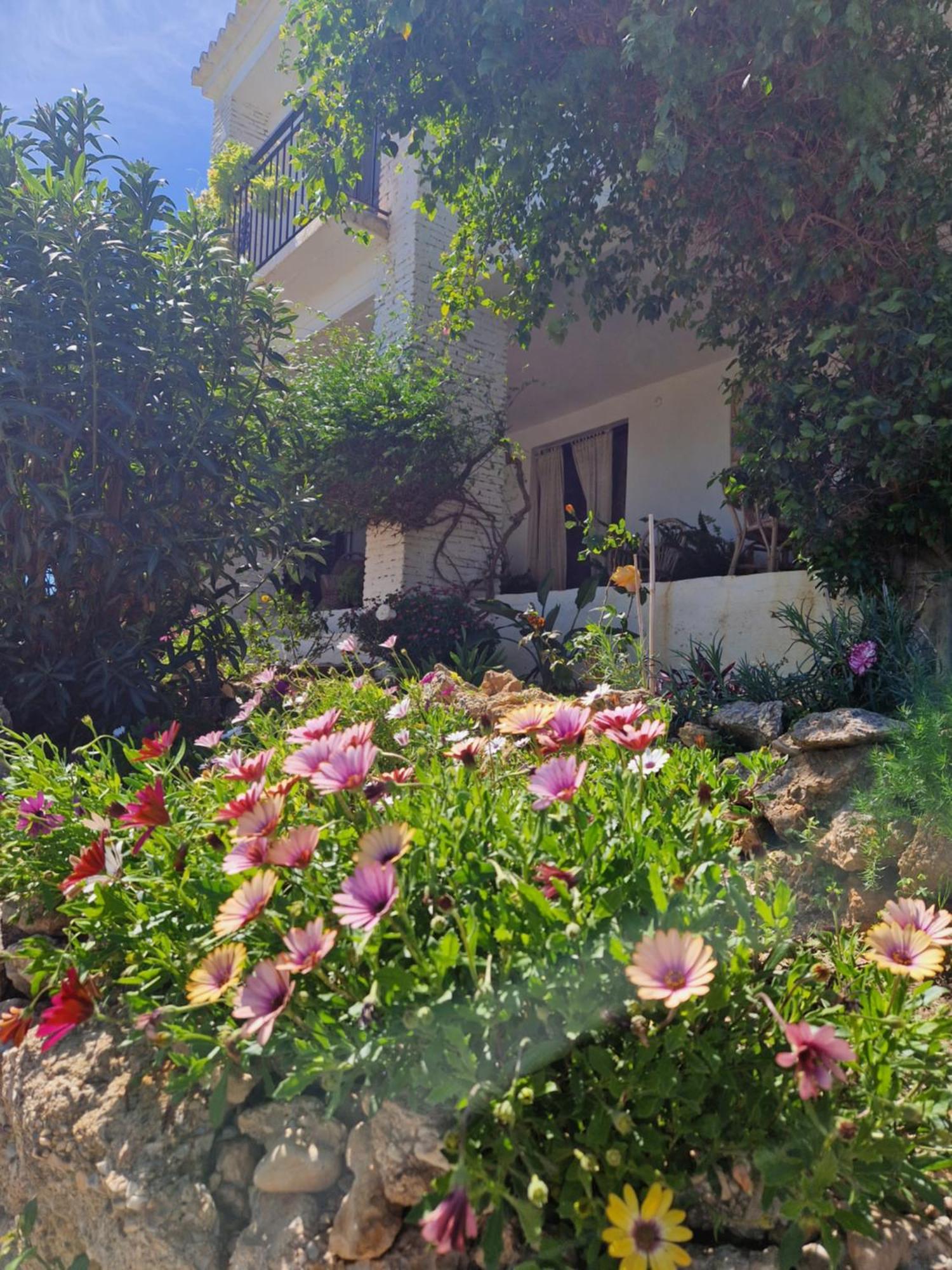 Cortijo Nerja Artist Paradise Екстериор снимка