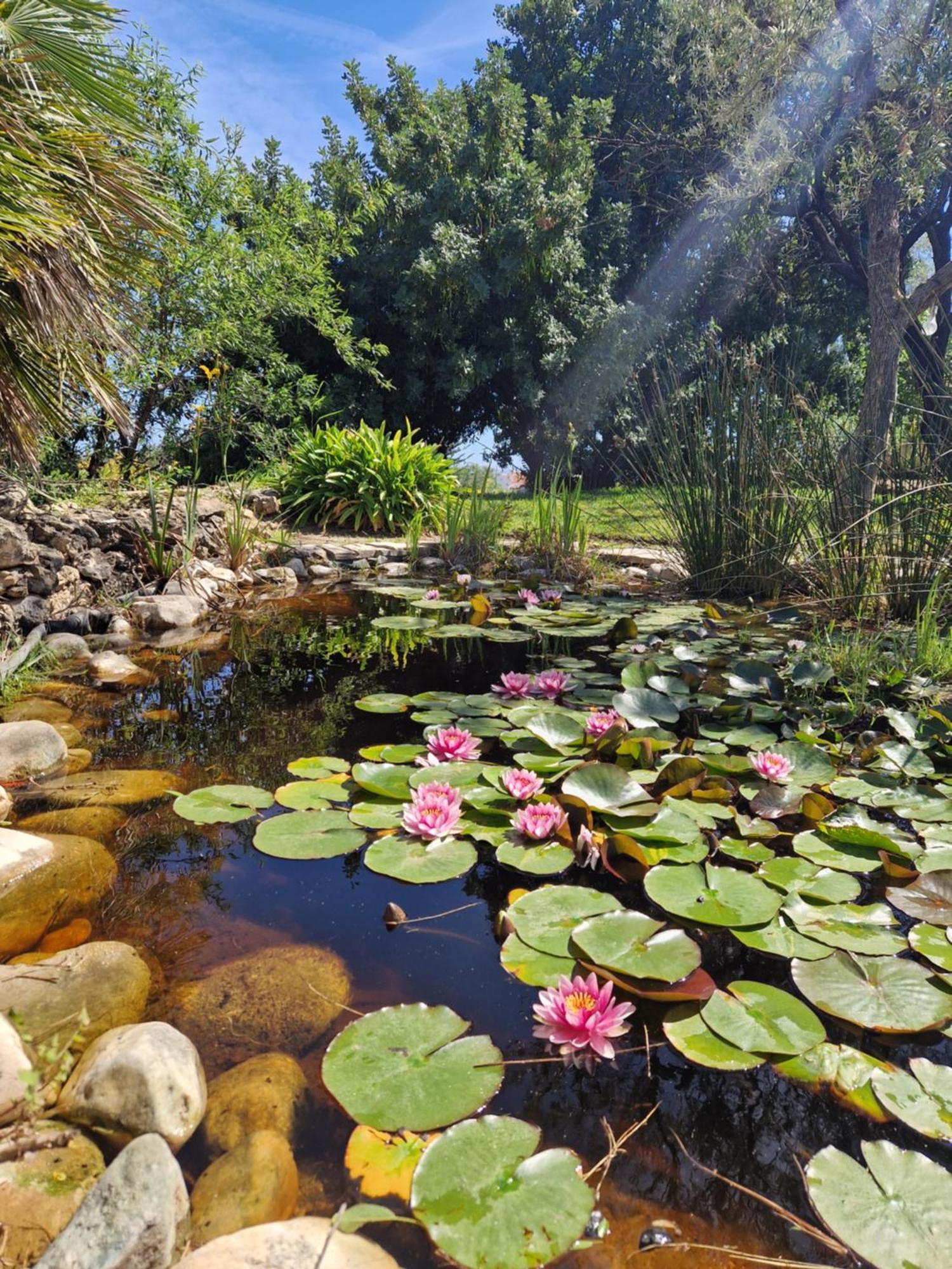 Cortijo Nerja Artist Paradise Екстериор снимка